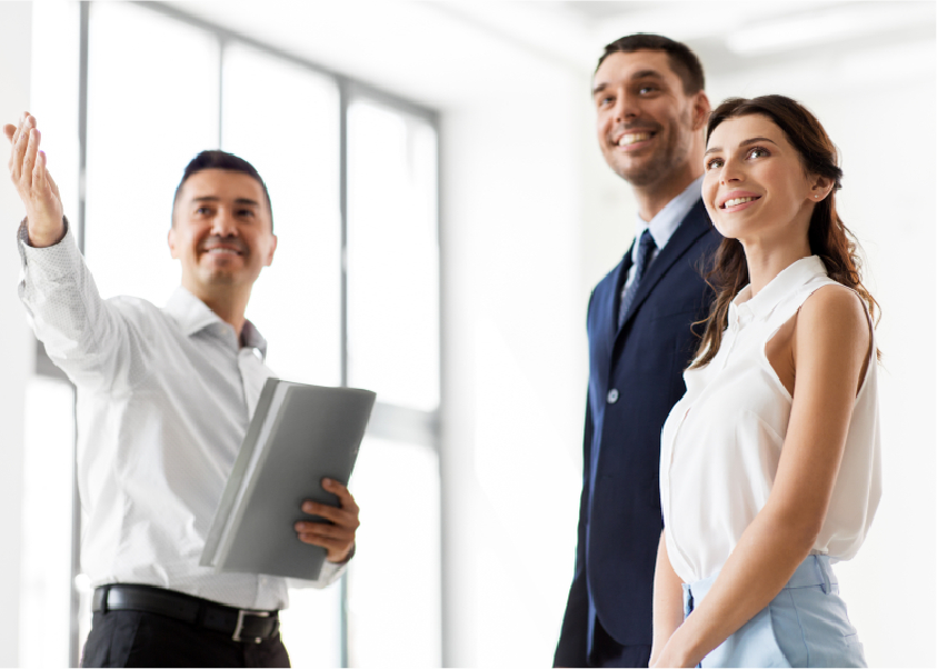 Fresh dates on palm tree